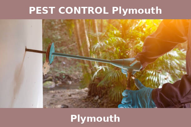PEST CONTROL Plymouth